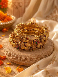 Rajsi Peacock Kada Set
